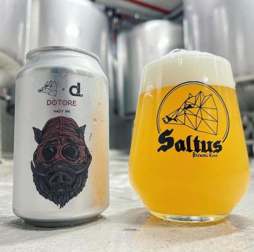 DOTORE  Saltus x We are Dotore  Hazy IPA (Caja 24 cervezas) - Saltus